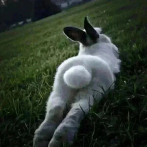 I just want to let you know